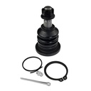 Apex Chassis Heavy Duty Front Upper Ball Joint Fits: 05-23 Toyota Tacoma