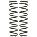 RockJock Rear Coil Springs, JL, 4 in. Lift, Pair